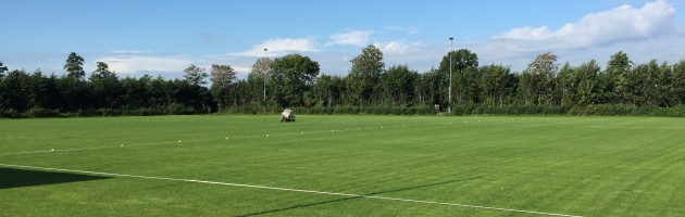Wy bin der klear foar